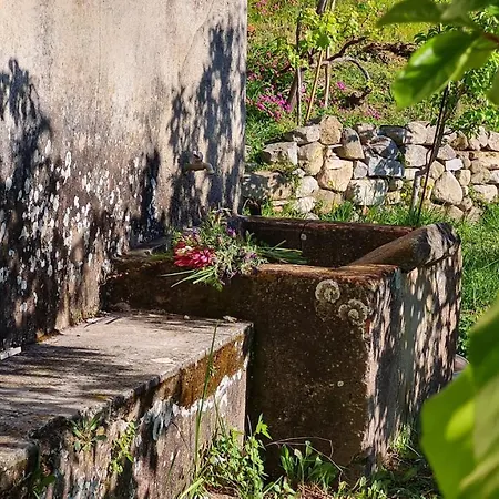 דירה La Casina Di Redinoce *