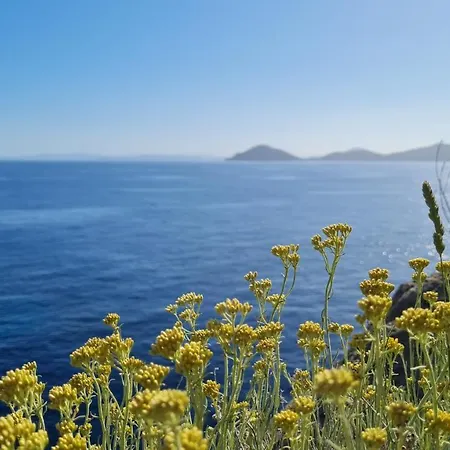 La Casina Di Redinoce Апартаменты Марчана