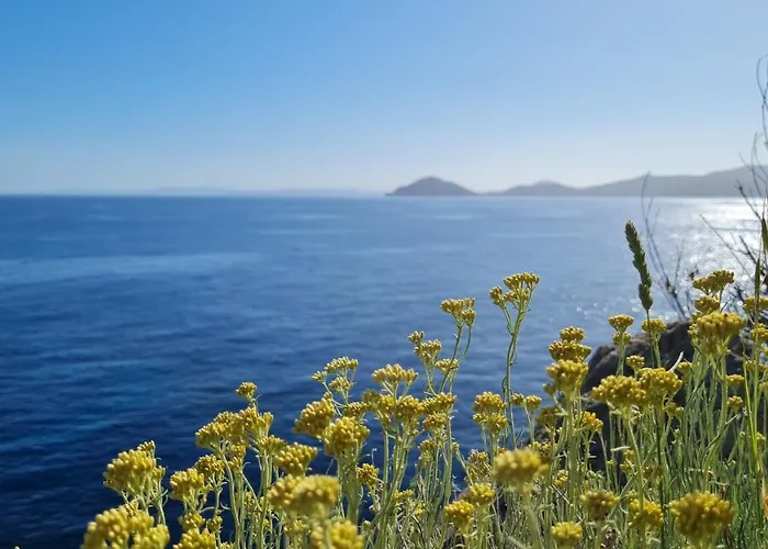 La Casina Di Redinoce Apartmán Marciana (Isola d'Elba)